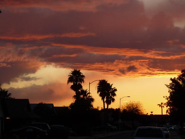 Members Random Picture Gallery Non Mustang Shots of Interest!-p1010307.jpg