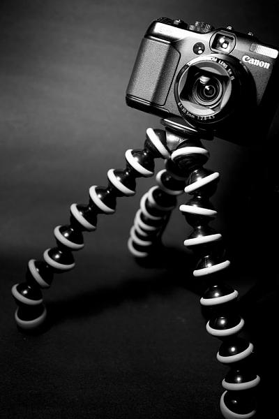 Members Random Picture Gallery Non Mustang Shots of Interest!-g11.jpg