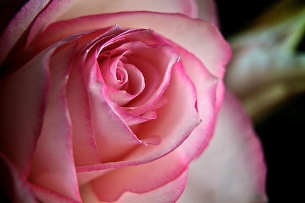 Members Random Picture Gallery Non Mustang Shots of Interest!-shot2.jpg