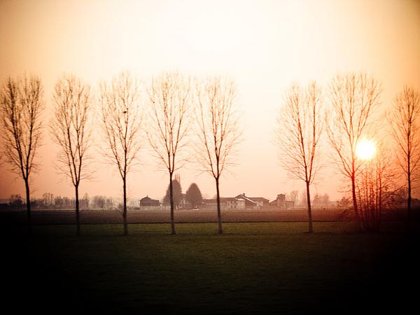 Members Random Picture Gallery Non Mustang Shots of Interest!-img_2063.jpg