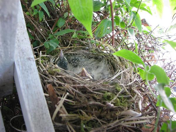 Members Random Picture Gallery Non Mustang Shots of Interest!-dcp-3002.jpg