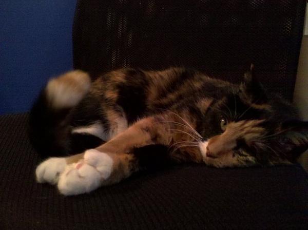 Huge Strange RANDOM Pictures and Idiocy Gallery!*-28231_118682401493444_100000550531626_196024_336412_n.jpg