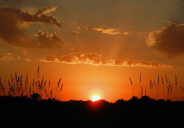 Members Random Picture Gallery Non Mustang Shots of Interest!-268327_237647979596885_100000550531626_897446_5471533_n.jpg