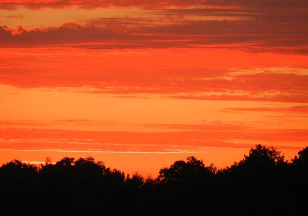 Members Random Picture Gallery Non Mustang Shots of Interest!-268353_245468498814833_100000550531626_929429_4963227_n.jpg