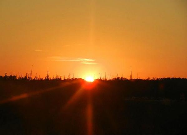 Members Random Picture Gallery Non Mustang Shots of Interest!-293291_277536985607984_100000550531626_1051934_1047045836_n.jpg