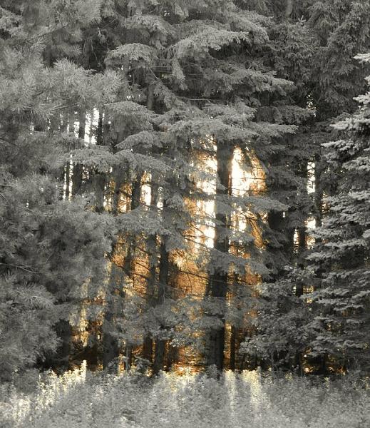 Members Random Picture Gallery Non Mustang Shots of Interest!-267998_245466608815022_100000550531626_929394_8382641_n.jpg