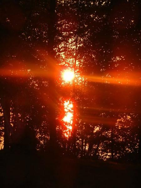 Members Random Picture Gallery Non Mustang Shots of Interest!-294812_277538638941152_100000550531626_1051956_605333170_n.jpg