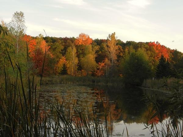 Members Random Picture Gallery Non Mustang Shots of Interest!-dscn4829.jpg