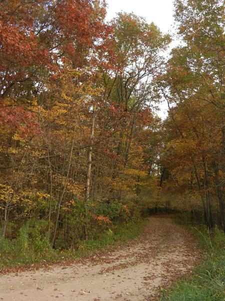 Members Random Picture Gallery Non Mustang Shots of Interest!-dscn4931.jpg