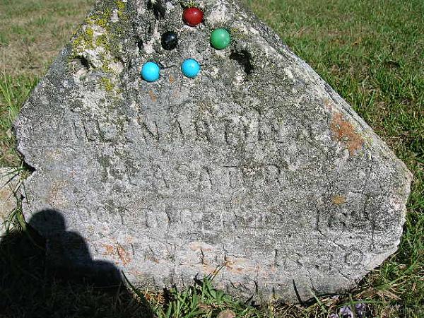 Members Random Picture Gallery Non Mustang Shots of Interest!-dscn0877.jpg