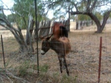 Name:  image-744339862.jpg
Views: 207
Size:  22.9 KB