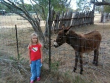 Name:  image-3756099734.jpg
Views: 206
Size:  22.6 KB