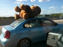 Name:  image-14318079.jpg
Views: 210
Size:  22.9 KB