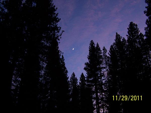 Huge Strange RANDOM Pictures and Idiocy Gallery!*-moon-sunset.jpg