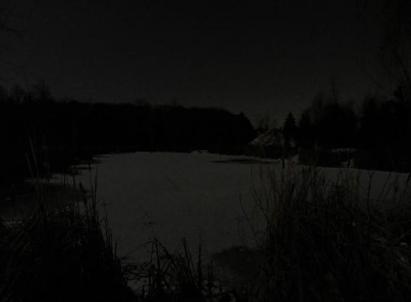 Huge Strange RANDOM Pictures and Idiocy Gallery!*-374364_323714520990230_100000550531626_1210404_2030135679_n.jpg