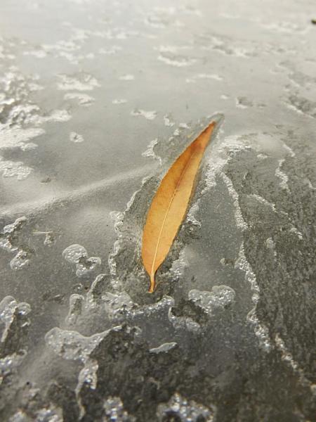 Members Random Picture Gallery Non Mustang Shots of Interest!-392648_328556977172651_100000550531626_1225328_894841719_n.jpg