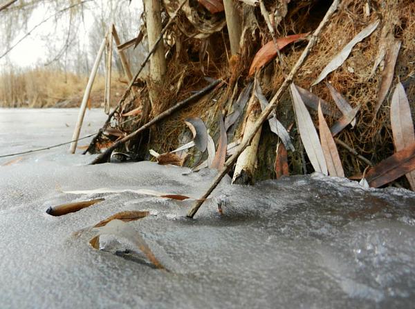 Members Random Picture Gallery Non Mustang Shots of Interest!-394317_328557097172639_100000550531626_1225330_878299269_n.jpg