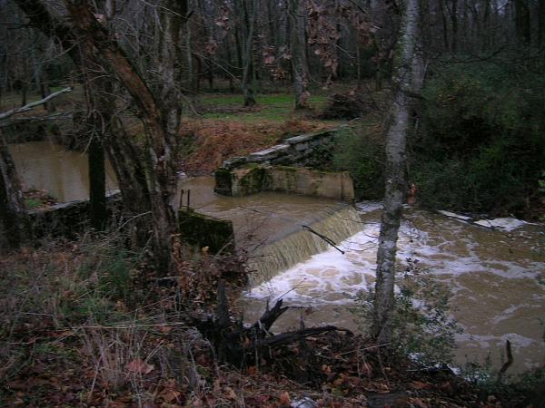 Members Random Picture Gallery Non Mustang Shots of Interest!-bird-008.jpg