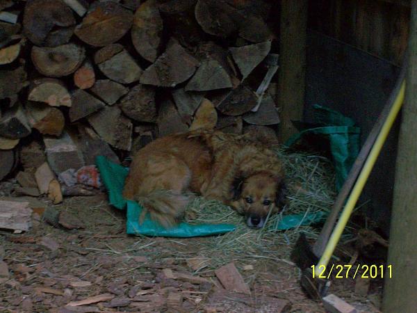 Huge Strange RANDOM Pictures and Idiocy Gallery!*-kell-apt2.jpg