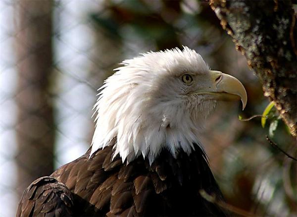 Members Random Picture Gallery Non Mustang Shots of Interest!-zoo_7705.jpg