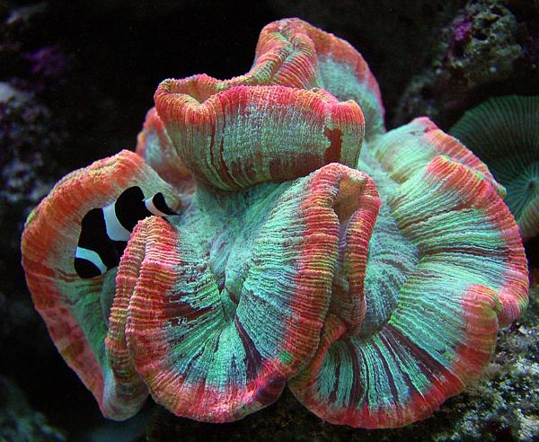 Members Random Picture Gallery Non Mustang Shots of Interest!-dsc_1043.jpg