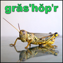 grasshopper's Avatar