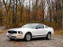 0005mustang's Avatar