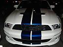 SoCal Shelby GT 500's Avatar