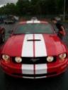 Bobs Stang's Avatar