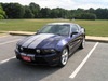2010stang's Avatar