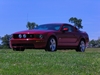 aaron88stang's Avatar