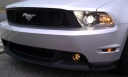 stang8psi's Avatar
