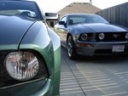 platinum stang's Avatar