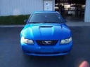 mustangg2000's Avatar