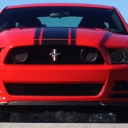 Mustang Freak's Avatar