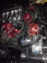saleen5.0's Avatar