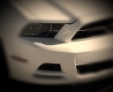 her_stang's Avatar