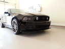 BLK STANG's Avatar