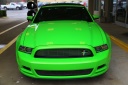 Stang013's Avatar