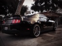 BOSSV6STANG's Avatar