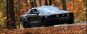 BlackBetty053V's Avatar