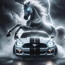 Mustang Lady Lucky 13's Avatar