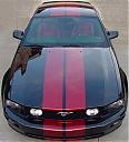 05Stang_WI's Avatar