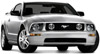 gibb409's Avatar