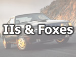 IIs & Foxes