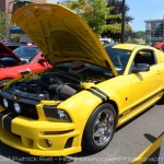 2013 Woodward Dream Cruise: The Roush Mustangs