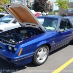 2013 Woodward Dream Cruise: The Roush Mustangs