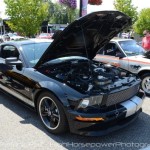 2013 Woodward Dream Cruise: The S197 Mustang