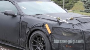 Mustang GT350 Seems to be a for Sure Thing