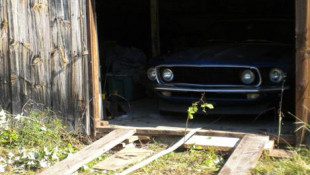 Immaculate 1969 Mustang Boss 302  Discovered in Wisconsin Barn